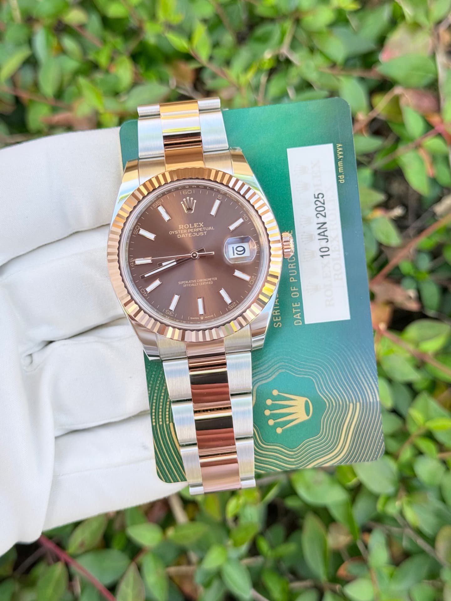 Rolex Datejust 41