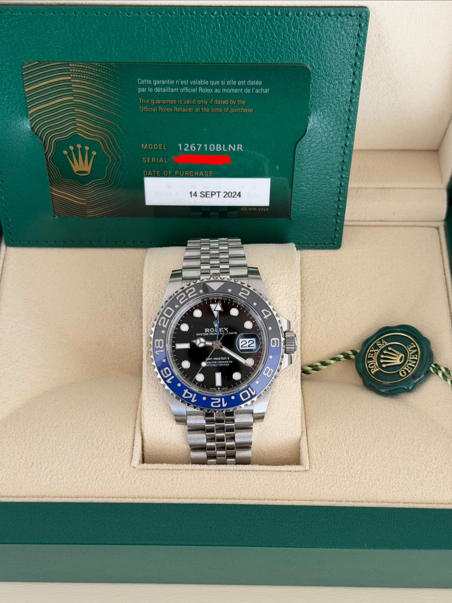 Rolex GMT-Master II (Steel)