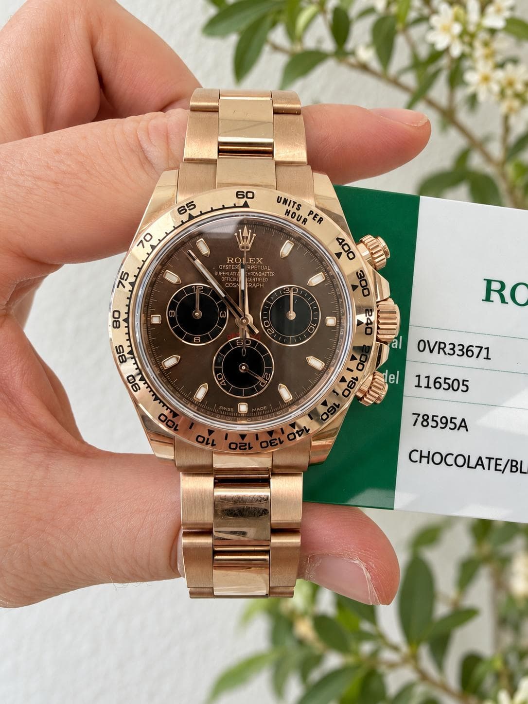 Rolex Daytona