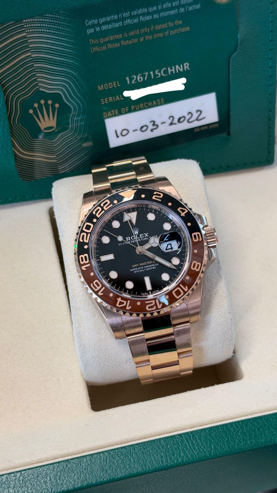 Rolex GMT-Master II Root Beer