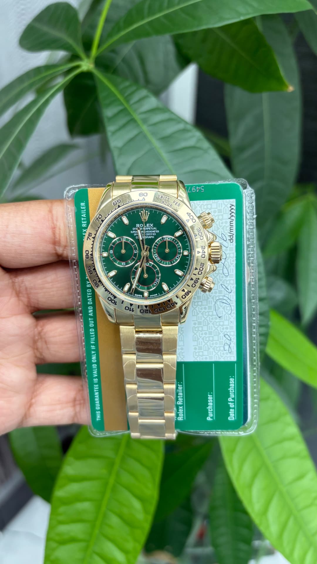 Rolex Daytona