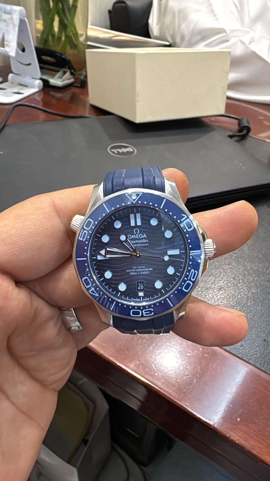 Omega Seamaster