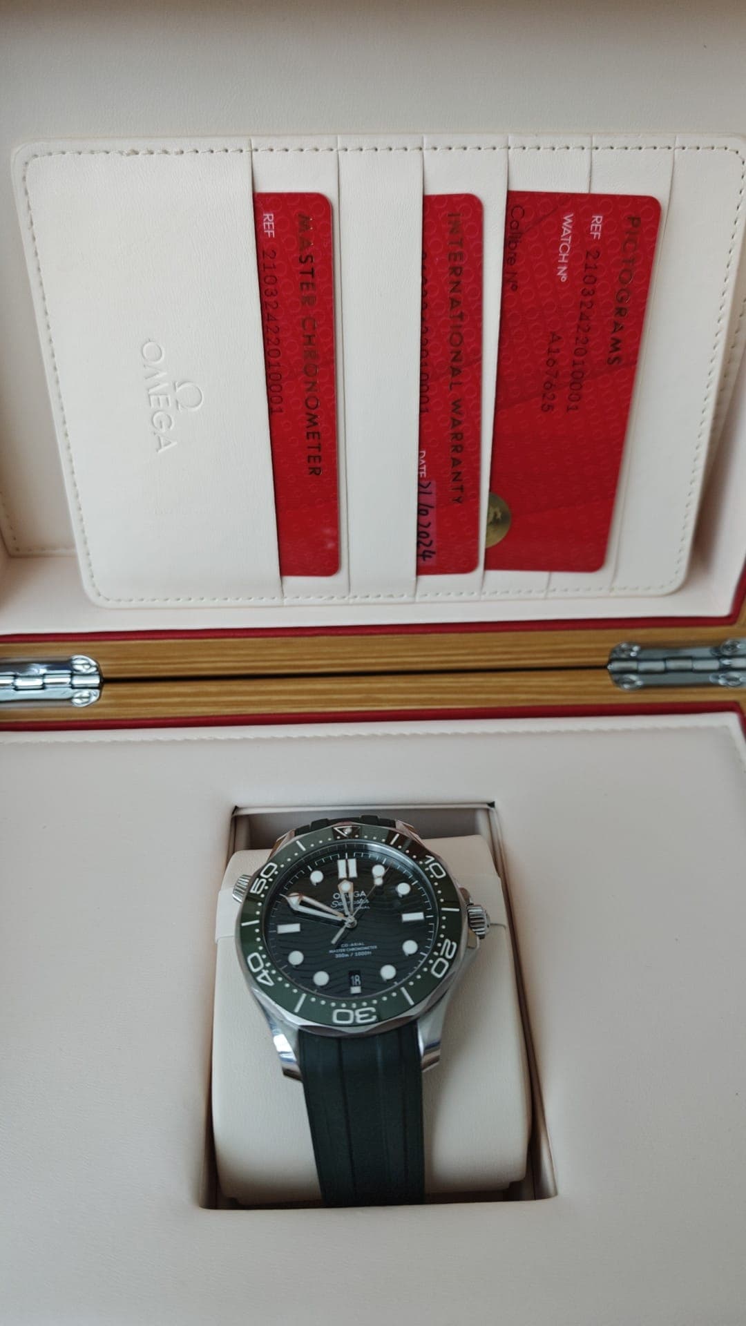 Omega Seamaster Diver 300M