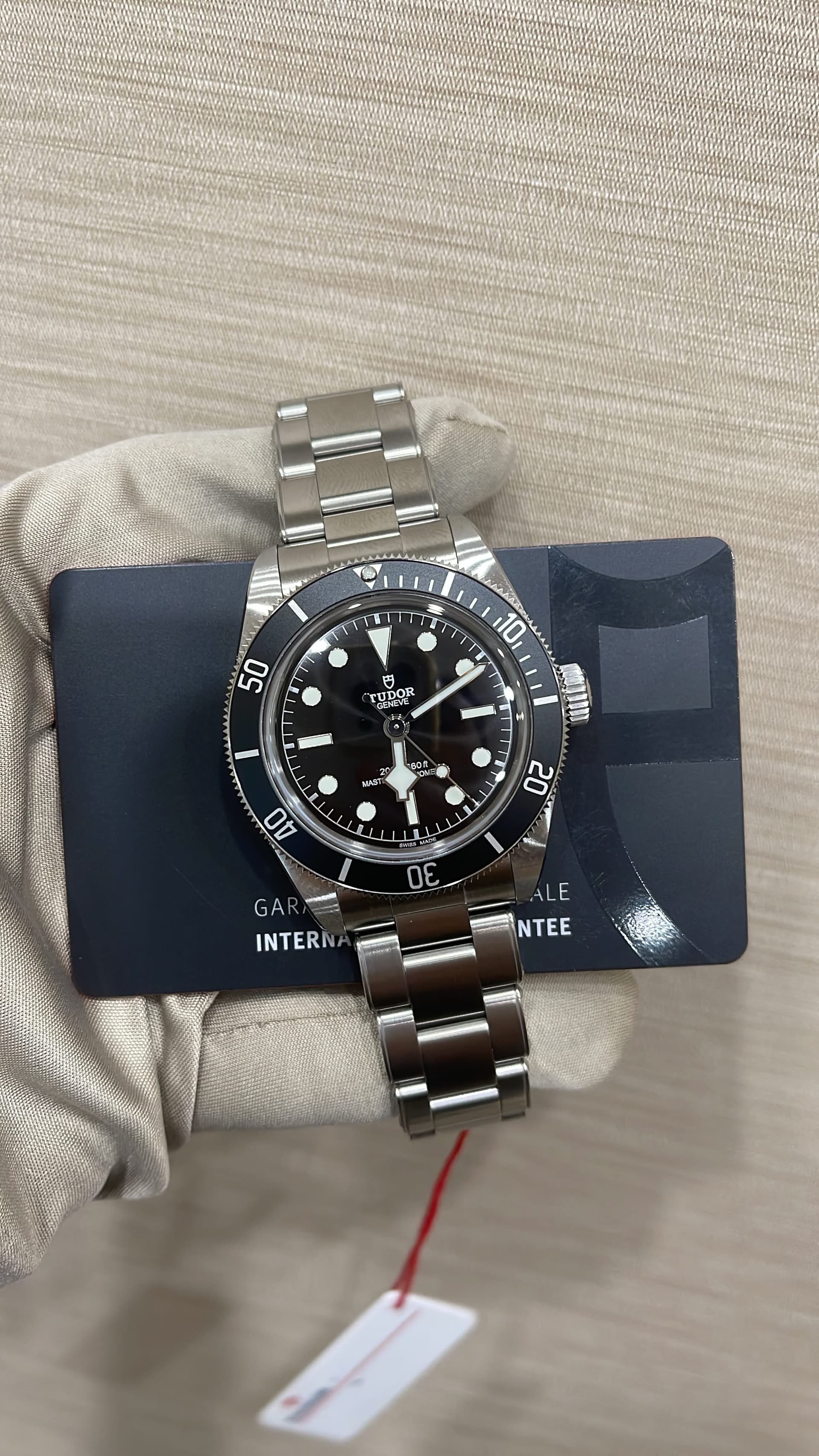Tudor Black Bay