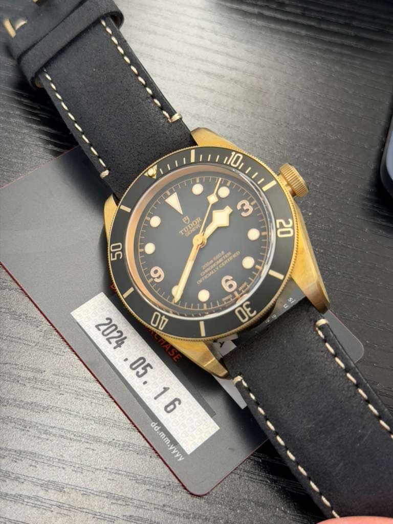Tudor Black Bay