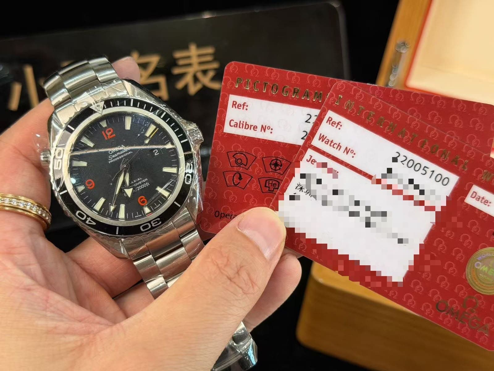 Omega Seamaster Planet Ocean
