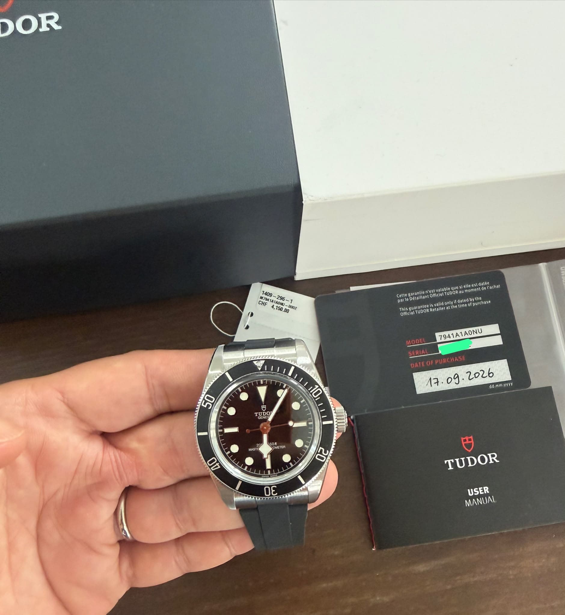 Tudor Black Bay