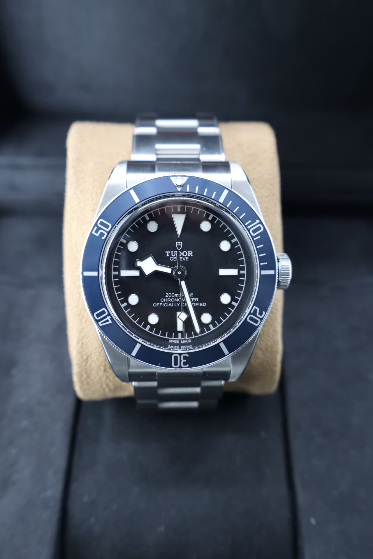 Tudor Black Bay