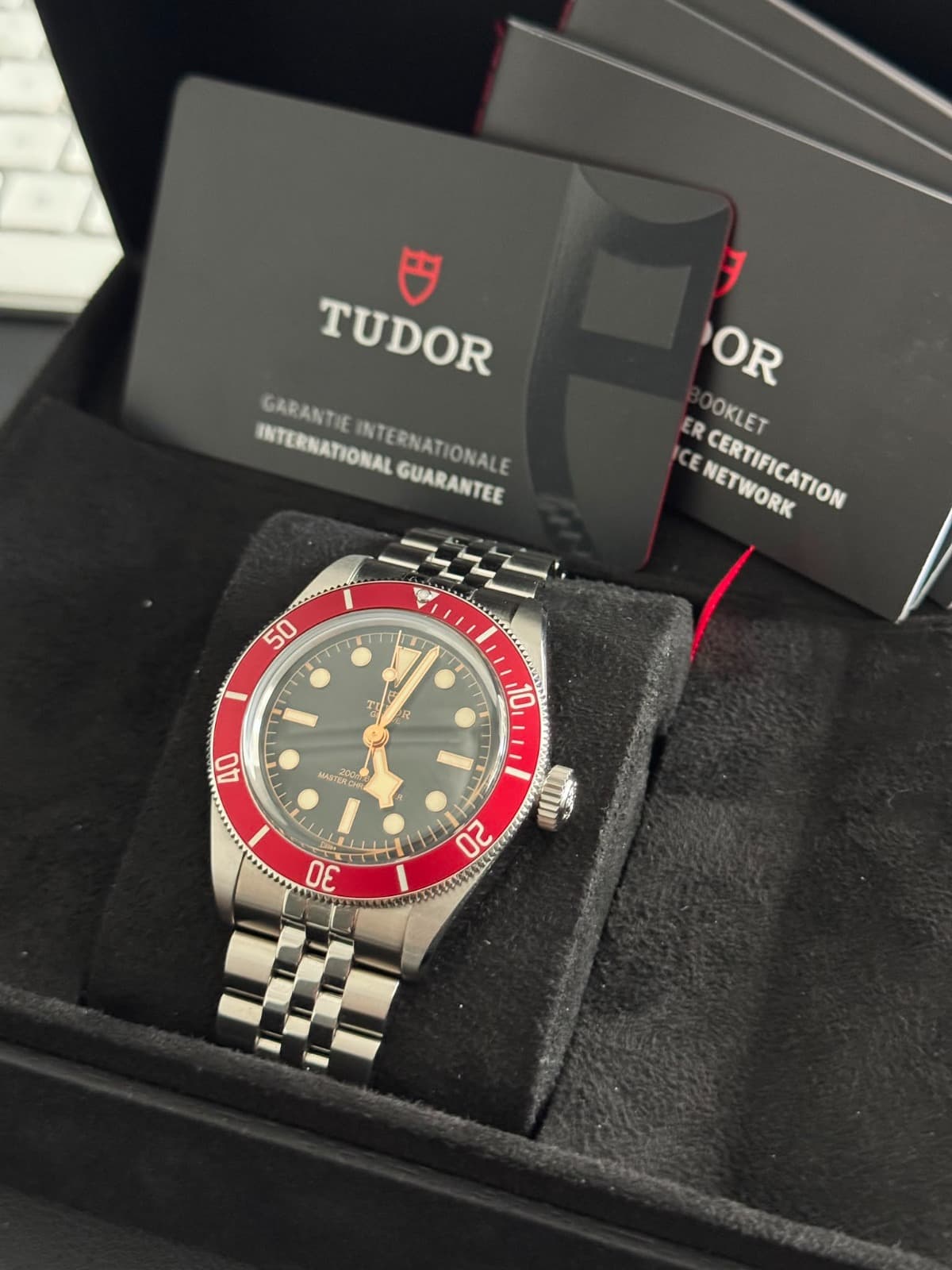 Tudor Black Bay