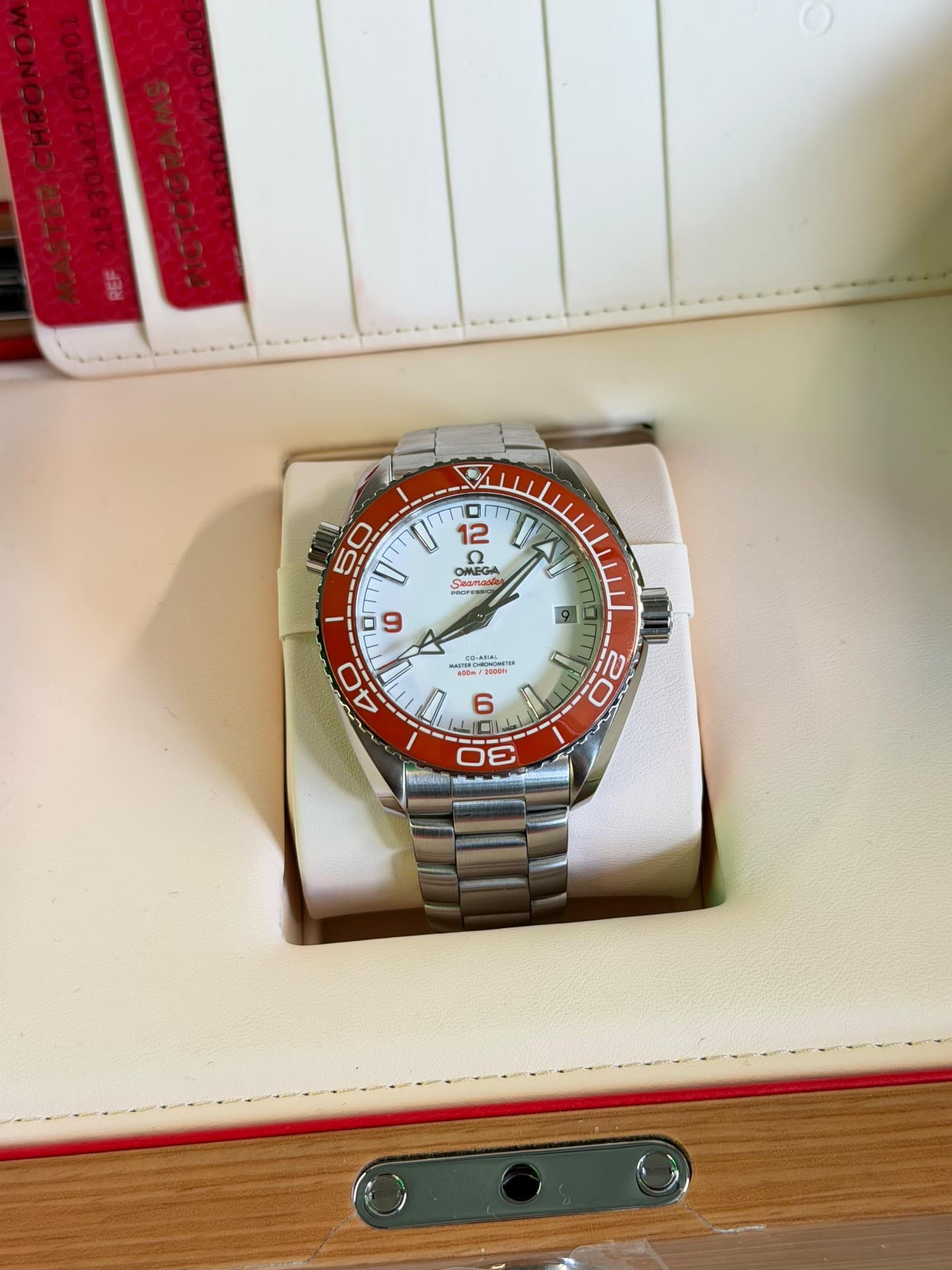 Omega Seamaster Planet Ocean 600M