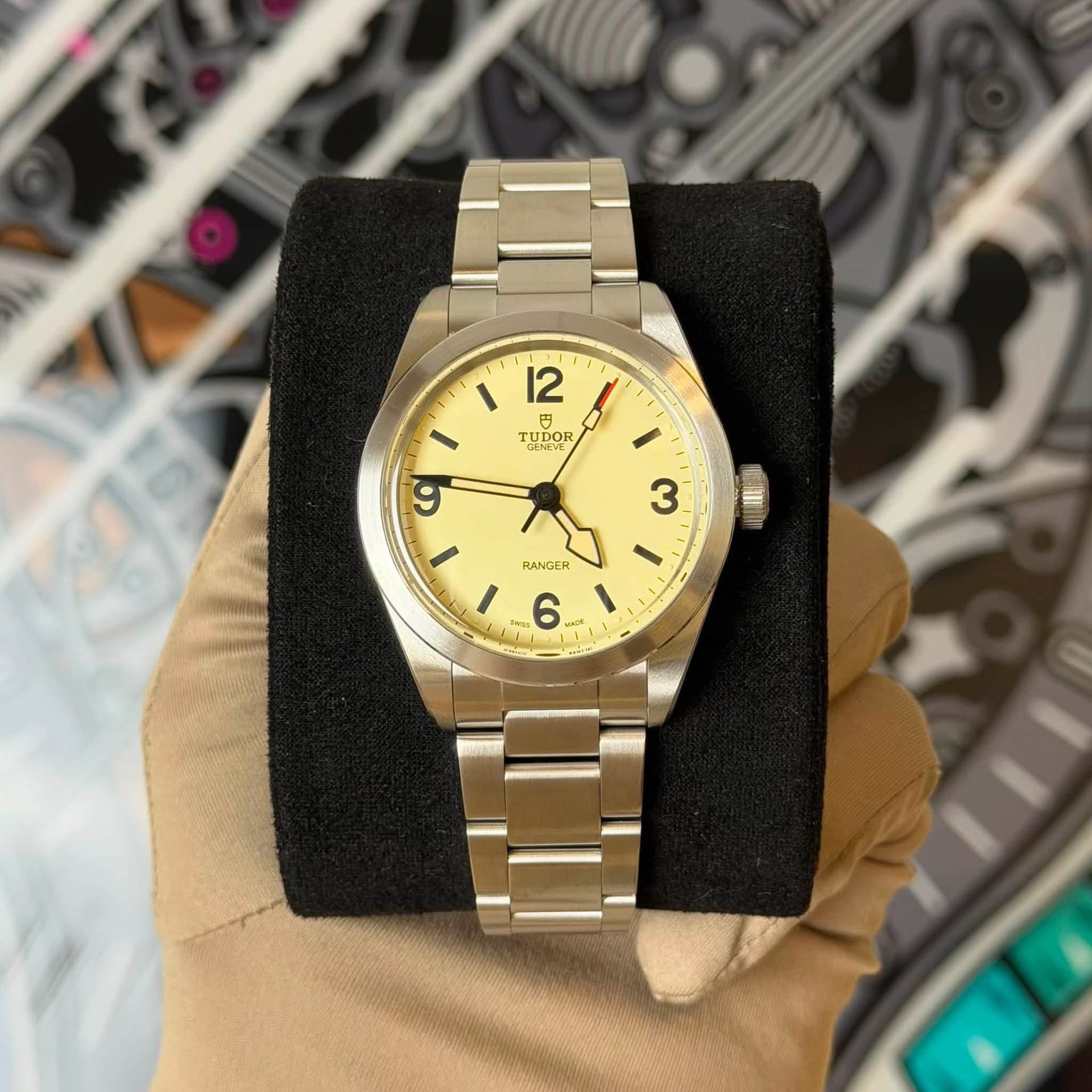 Tudor Ranger Dune