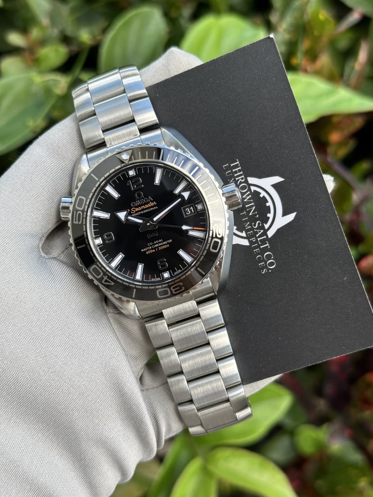 Omega Seamaster Planet Ocean