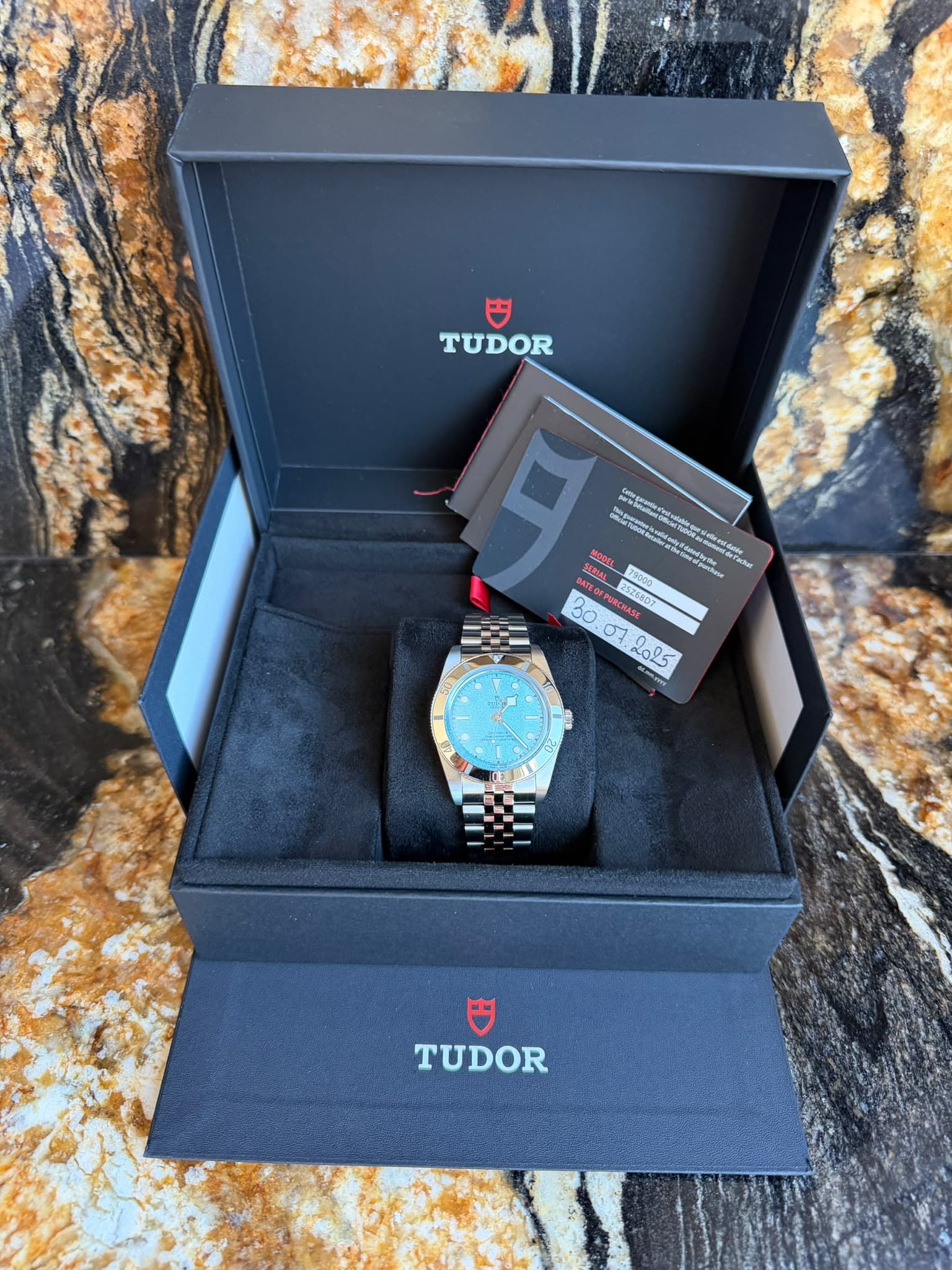 Tudor Black Bay
