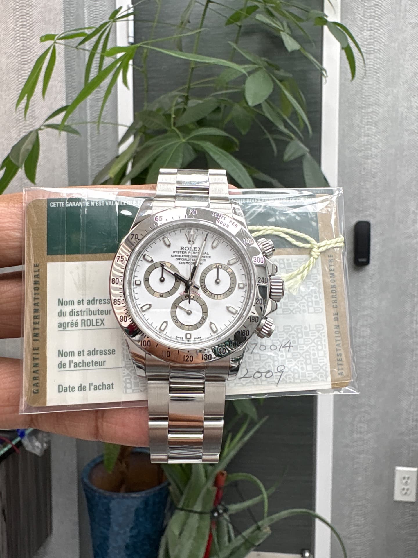 Rolex Daytona