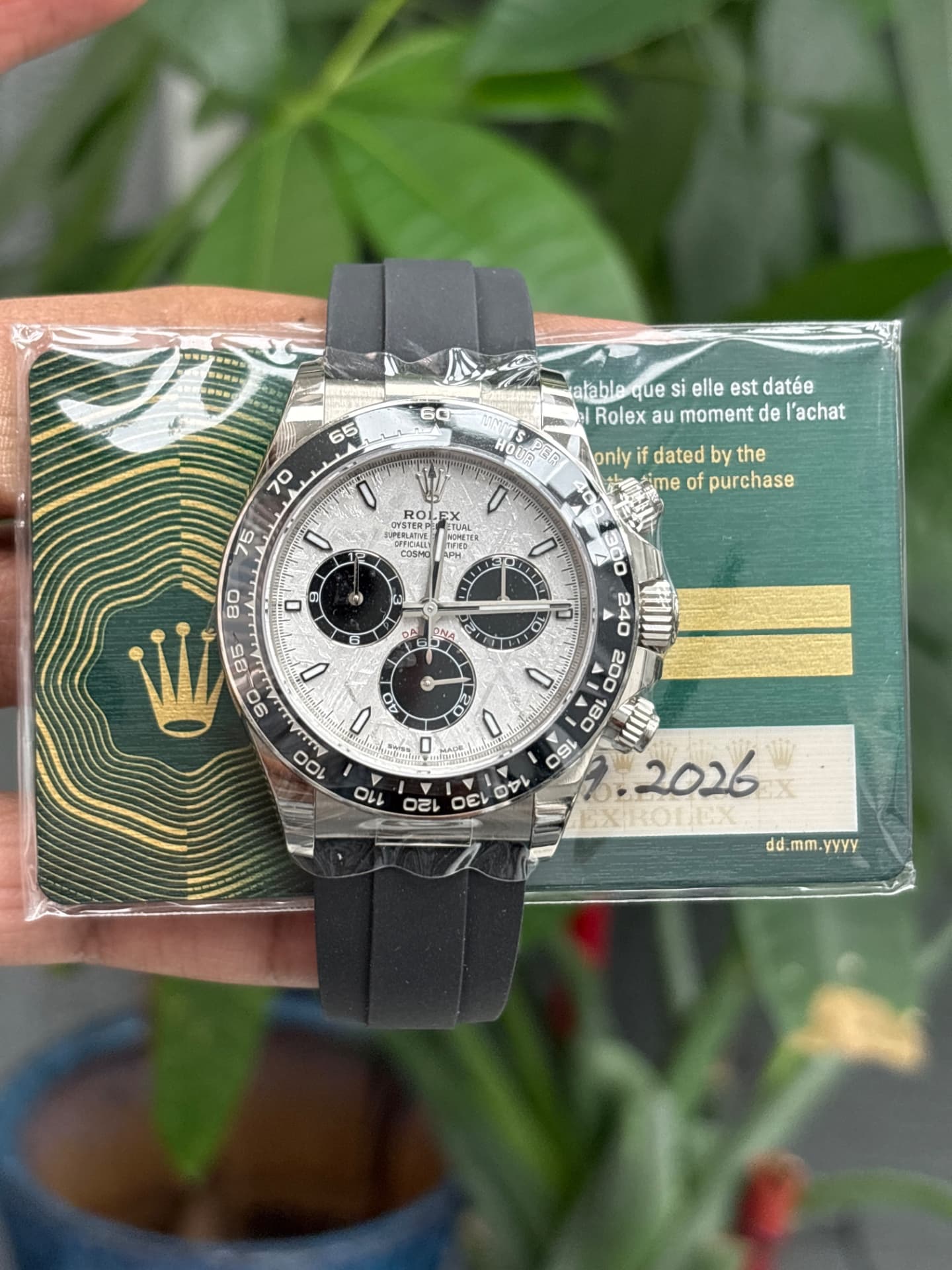 Rolex Daytona