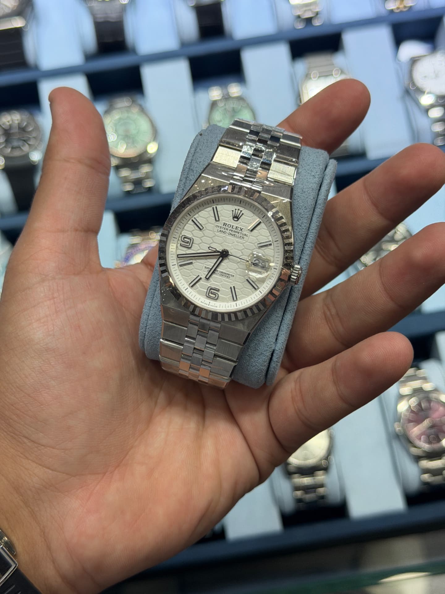 Rolex Land-Dweller