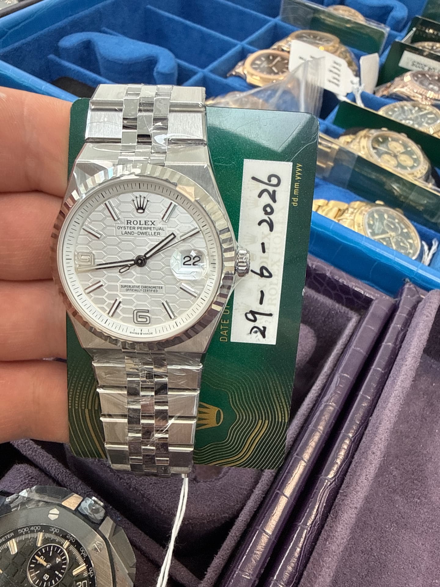 Rolex Land-Dweller