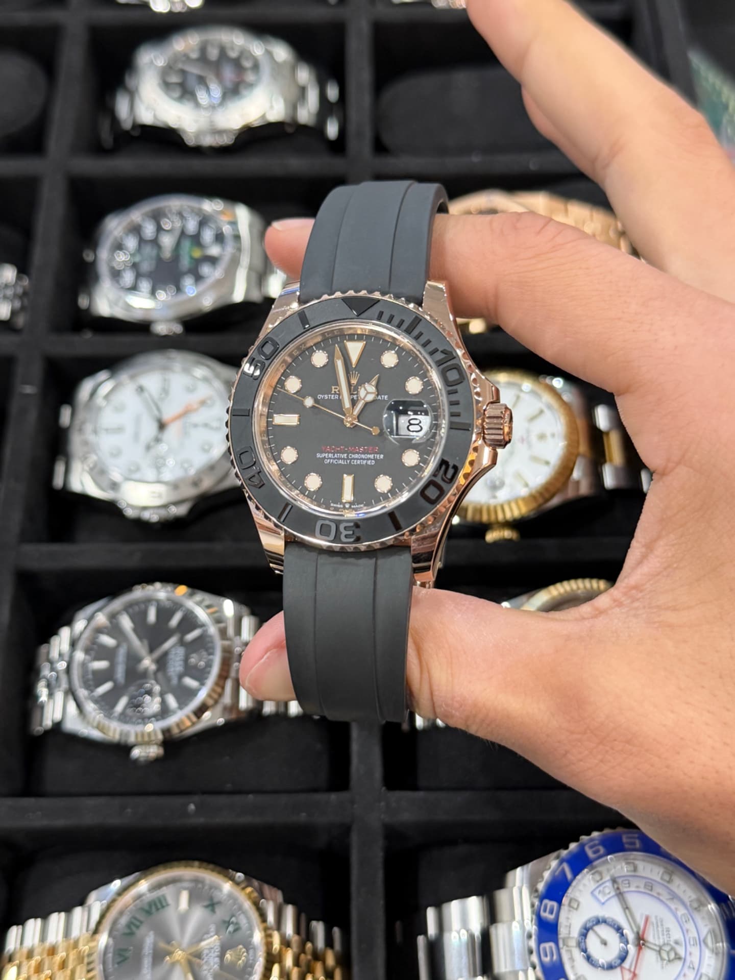 Rolex Yacht-Master (Rose Gold)