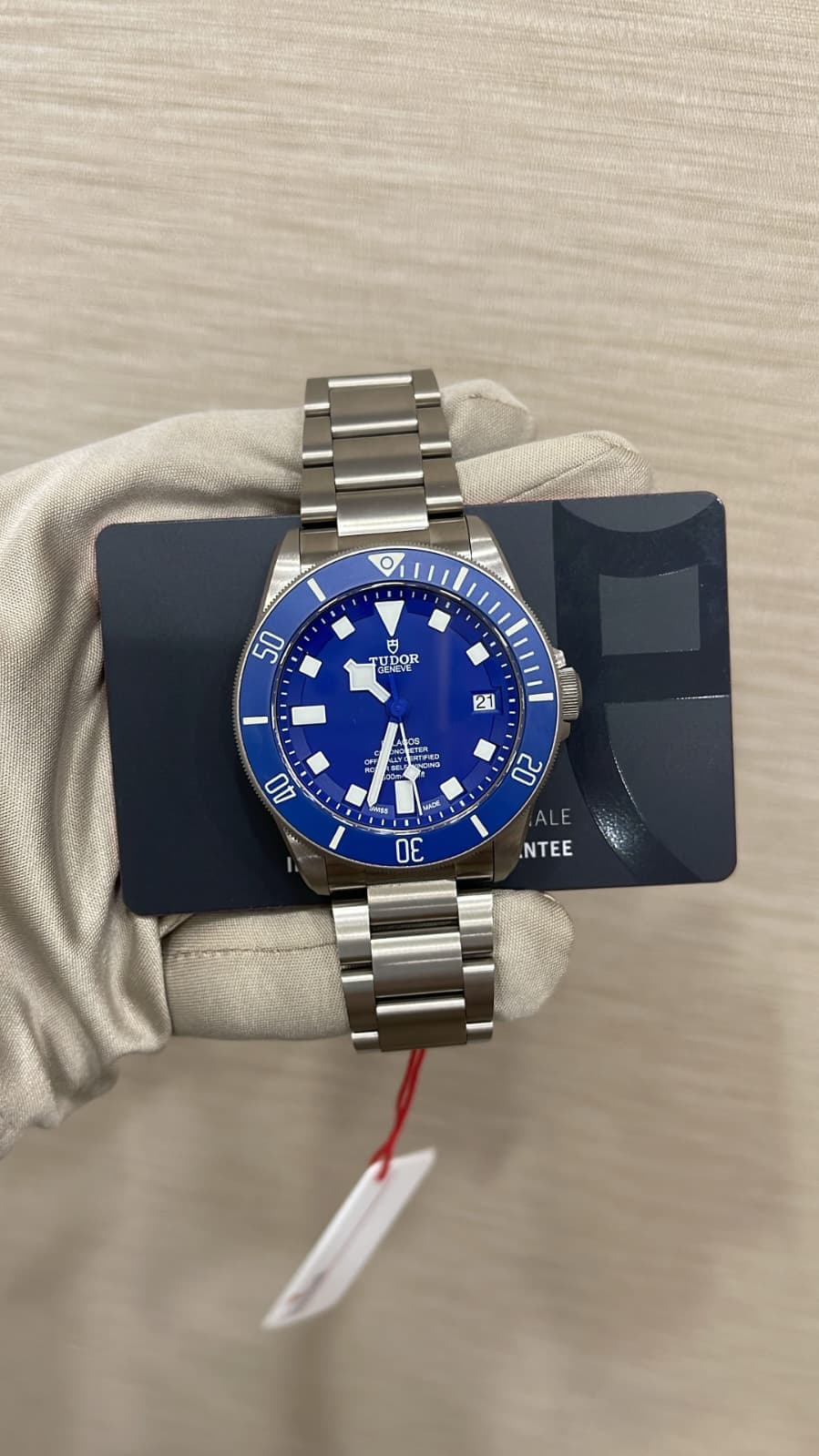 Tudor Pelagos