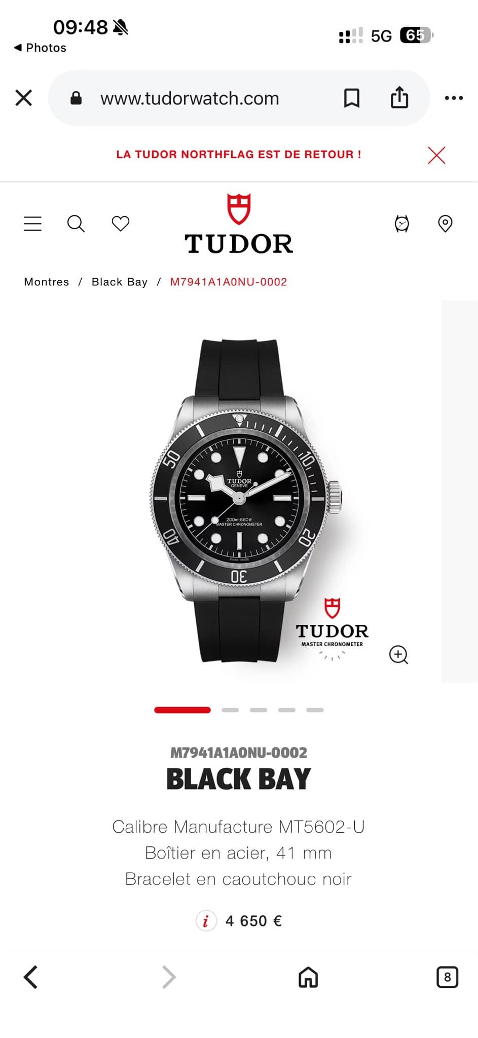 Tudor Black Bay