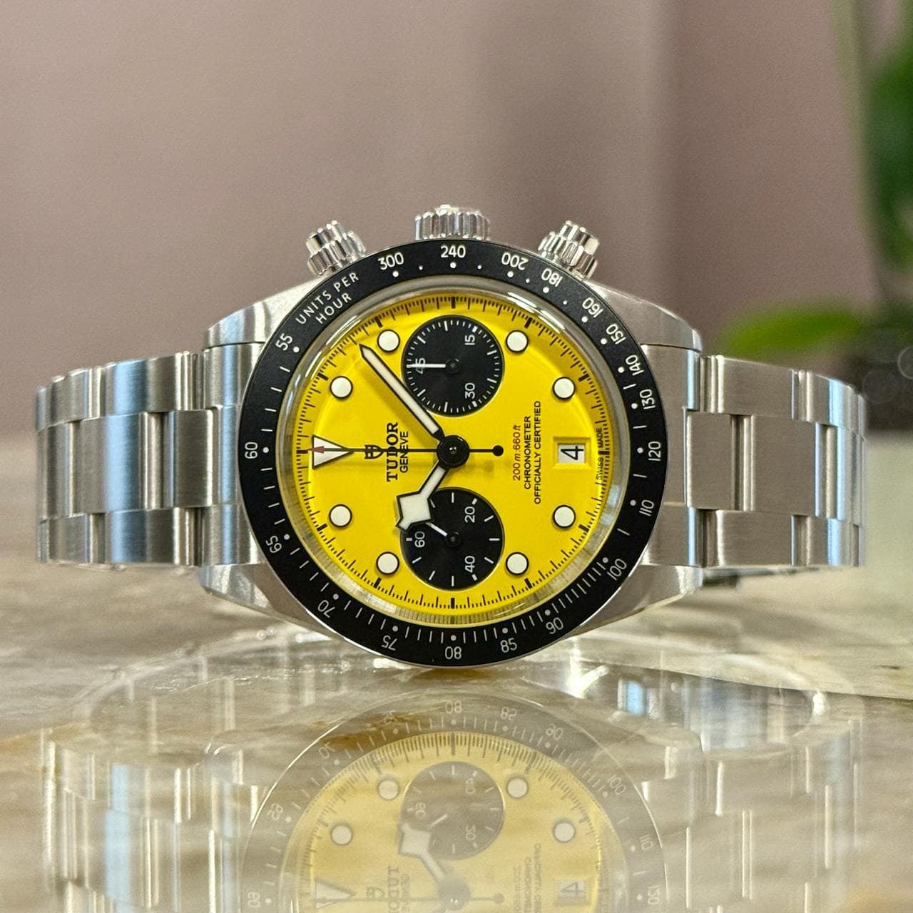 Tudor Black Bay