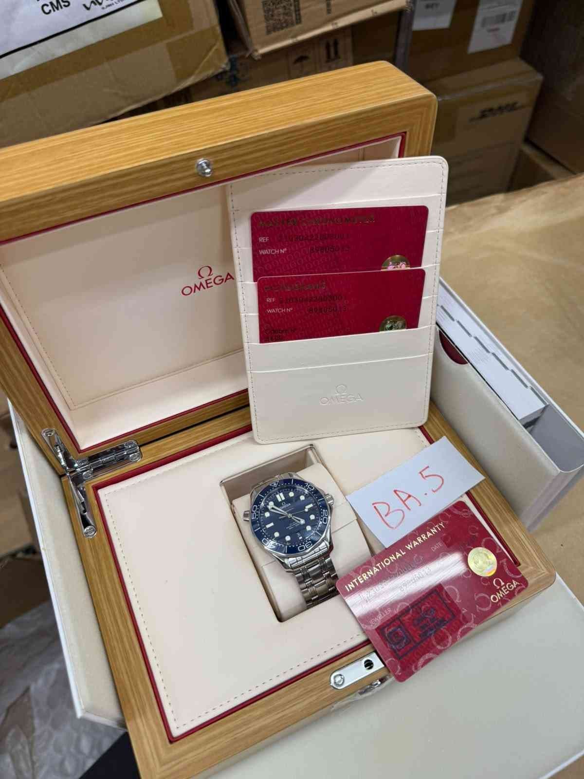 Omega Seamaster Diver 300M