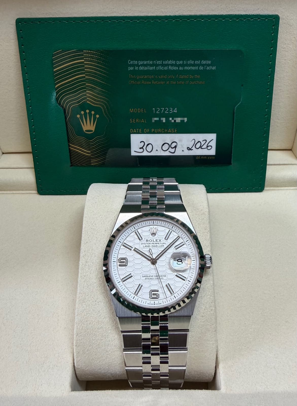 Rolex Land-Dweller 36