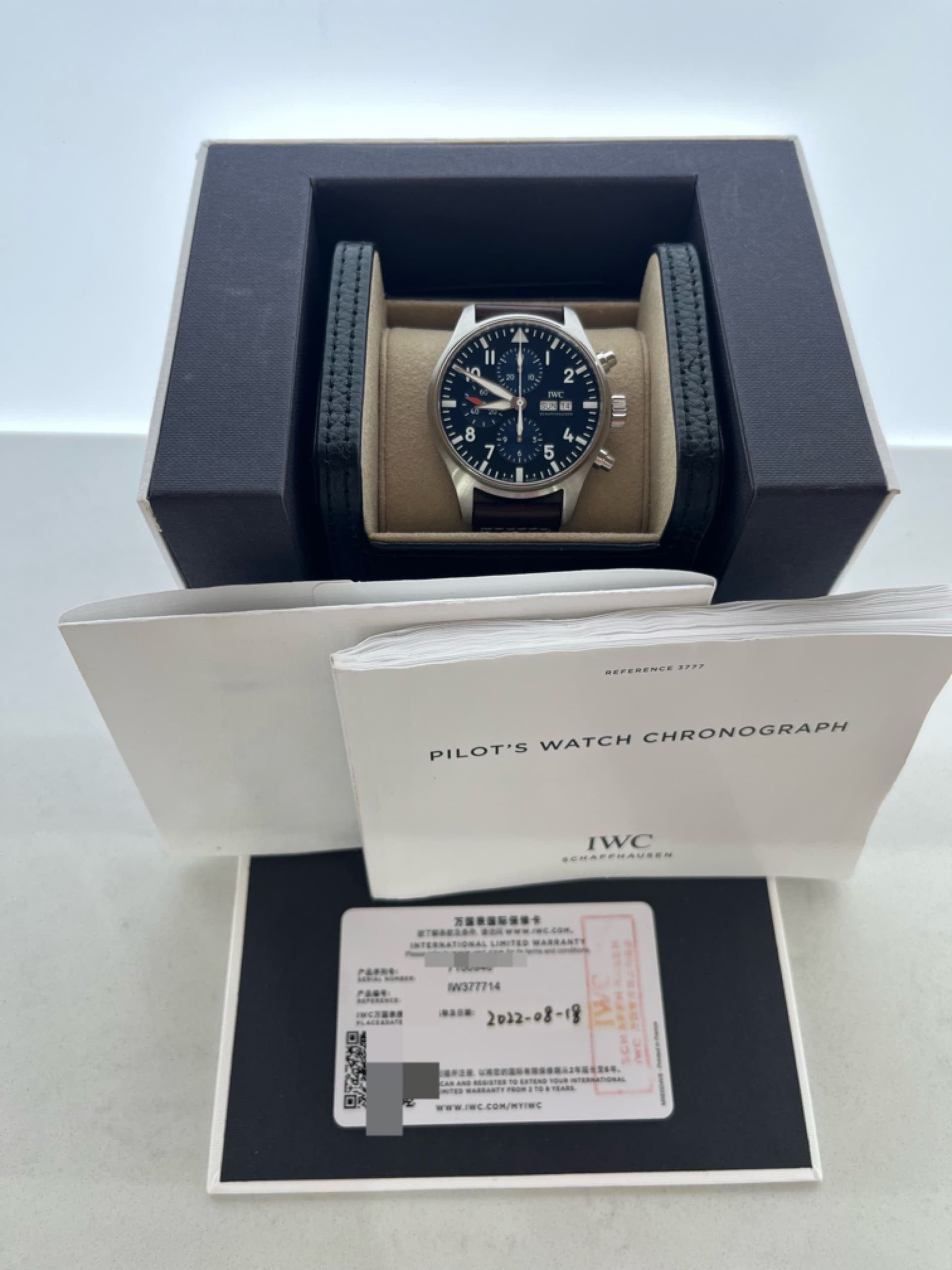 IWC Pilot