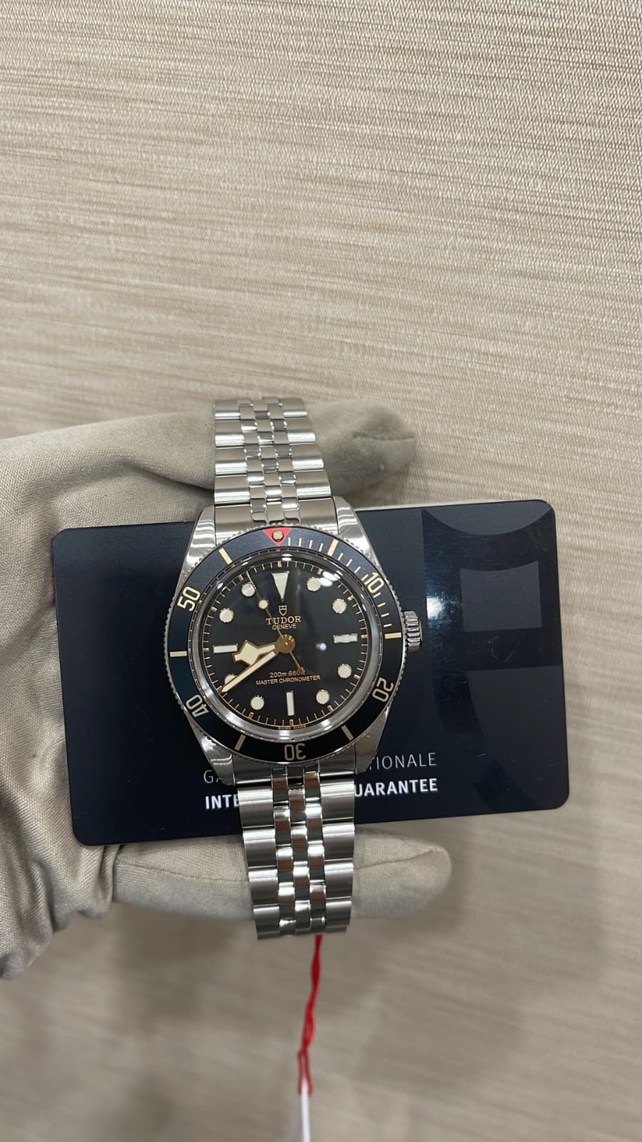 Tudor Black Bay 58