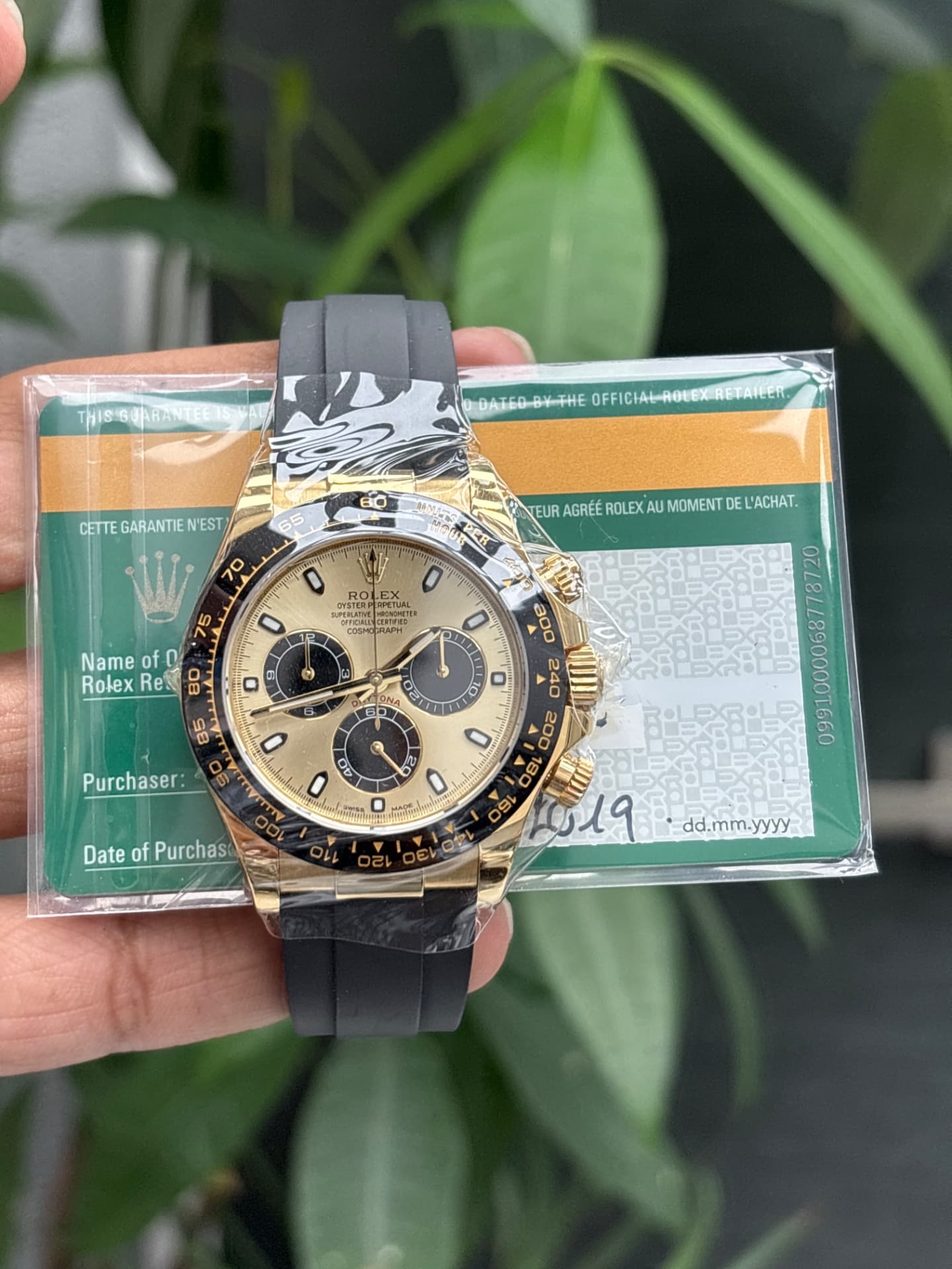 Rolex Daytona