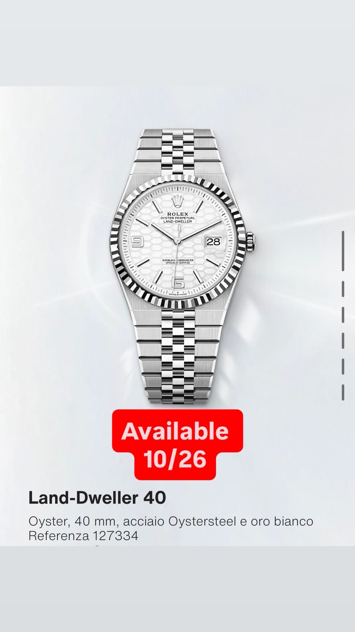Rolex Land-Dweller 40