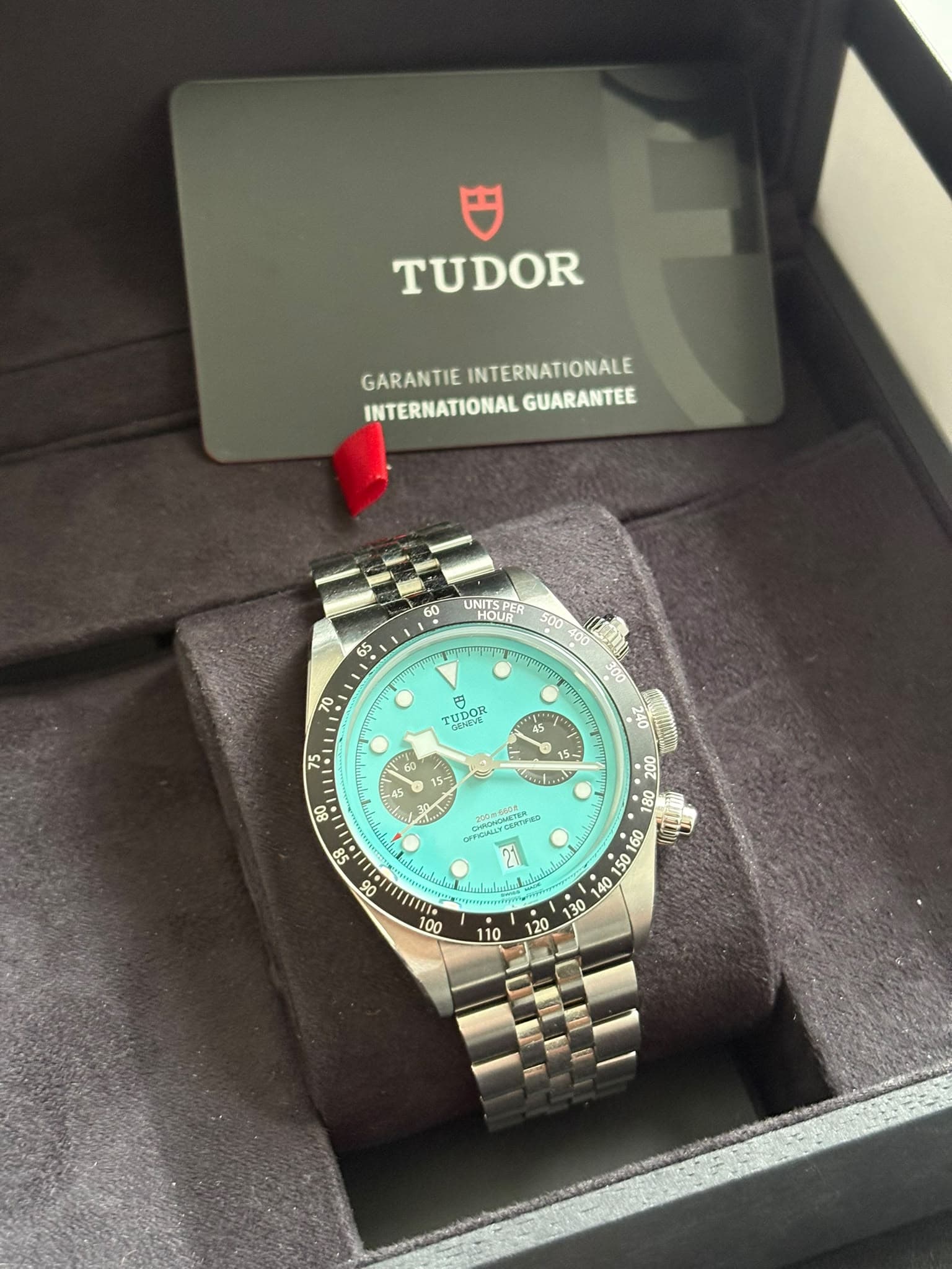 Tudor Black Bay