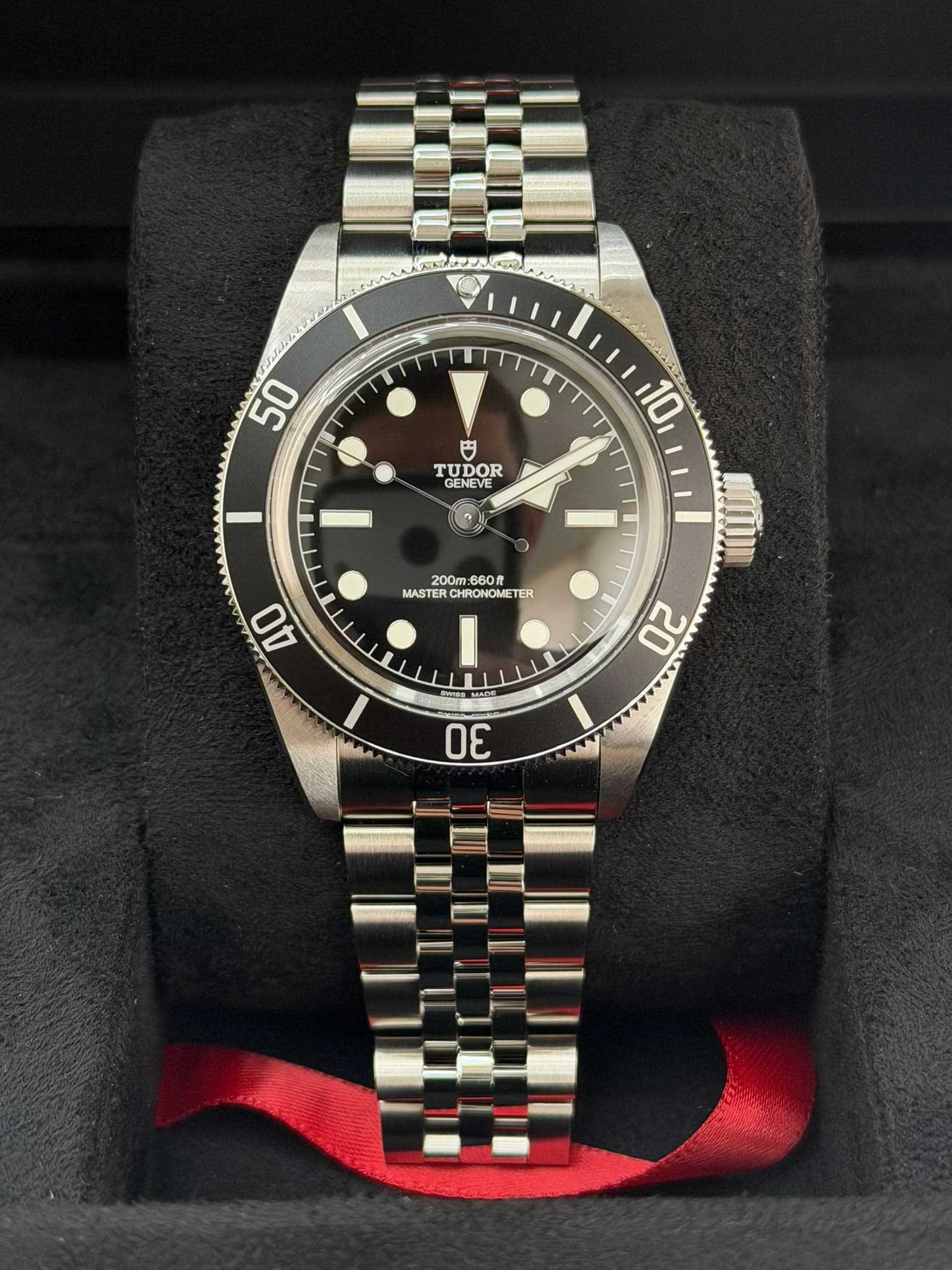 Tudor Black Bay